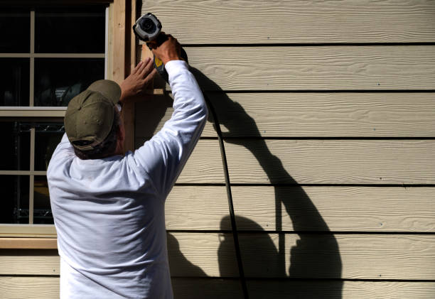 Best Aluminum Siding Installation  in Mount Plymouth, FL
