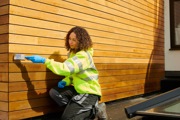 Best Steel Siding Installation  in Mount Plymouth, FL